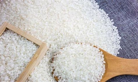 密封的大米可以保存多久