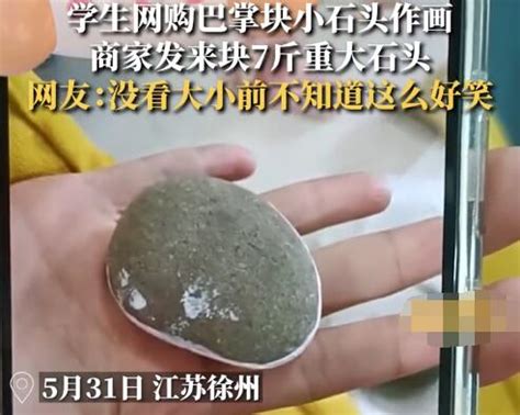 小学生购石头收到巨石
