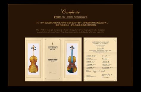 小提琴10级证书
