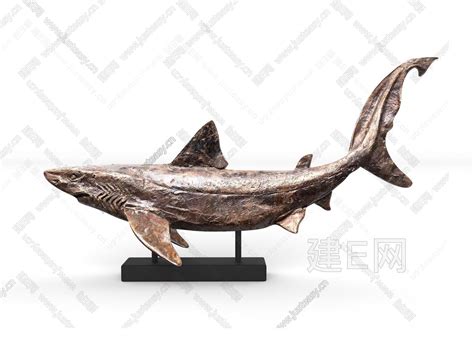 尾部的鲨鱼雕塑