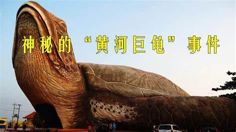 山西黄河挖出巨龟是真的吗