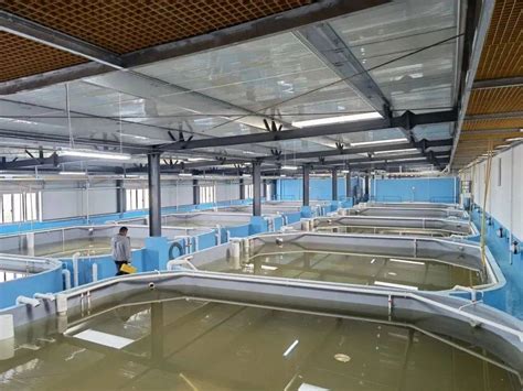 工厂化养虾的塑料水池