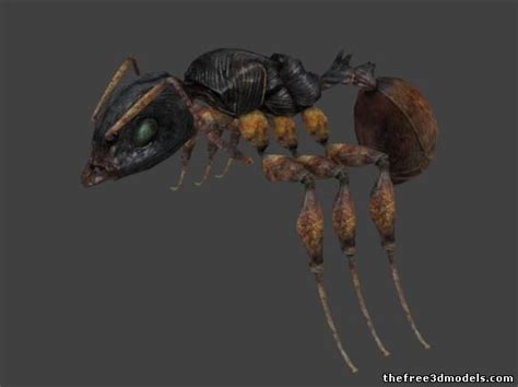 巨型蚂蚁怪物