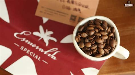 巴拿马瑰夏咖啡豆风味描述