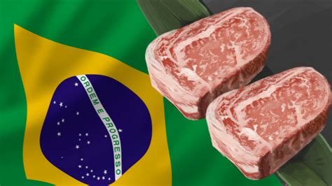 巴西牛肉输华议定书