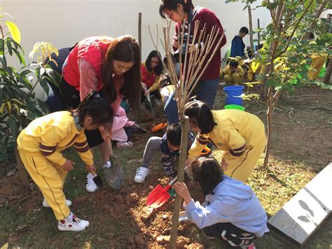 幼儿园植树节新颖的活动内容