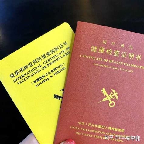 广东国际本科留学签证