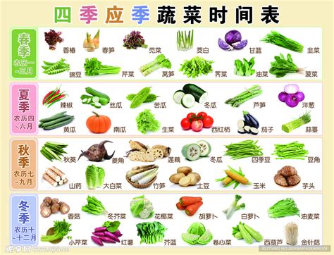 广东每月种菜时间表