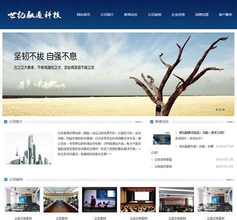 广元网站建设专业公司