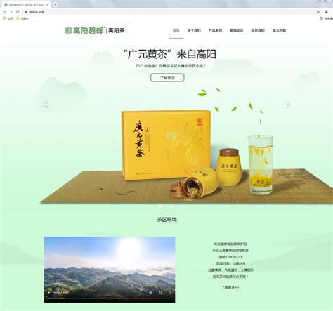 广元网站开发方案