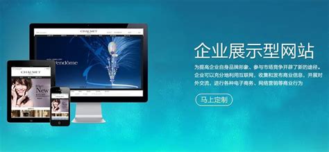 广州萝岗展示型网站建设