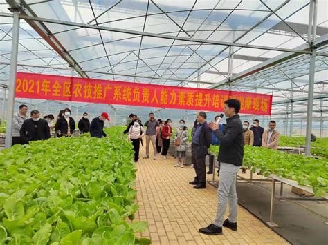 广西农业推广中心