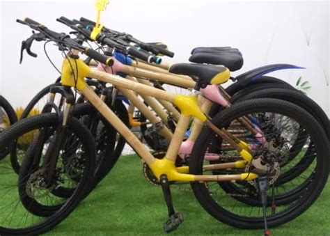 广西小伙用竹子造自行车售上万台