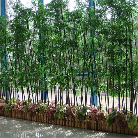 庭院适合种什么竹子可以做隔断