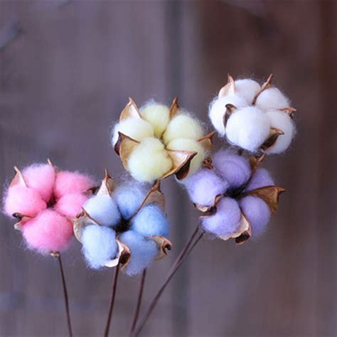 彩色棉花的种植方法