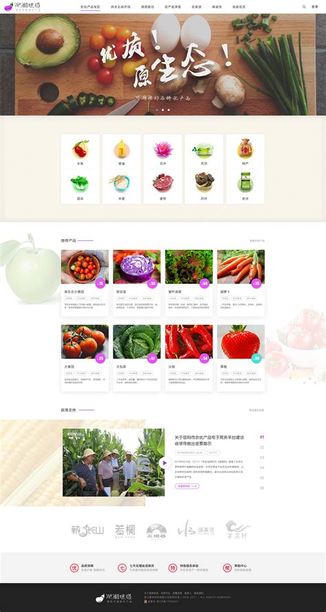 彭阳农产品网站推广