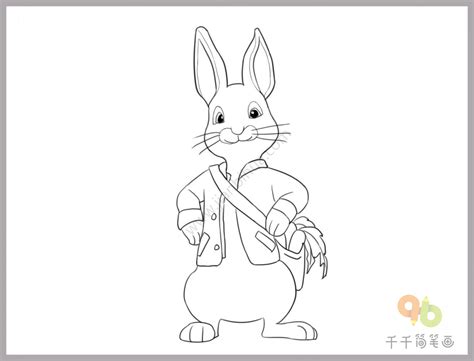 彼得兔的简笔画
