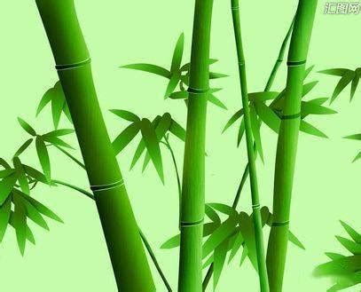 微信头像是竹子和山水有什么意义