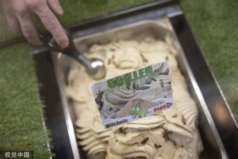 德国推出蟋蟀冰淇淋