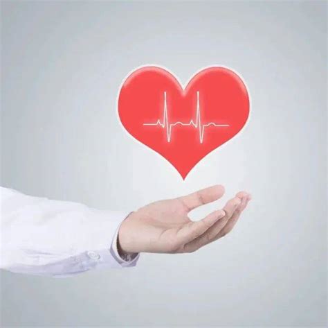 心脏检查项目和费用