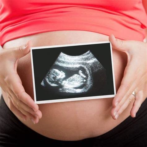 怀孕初期哪几周容易畸形