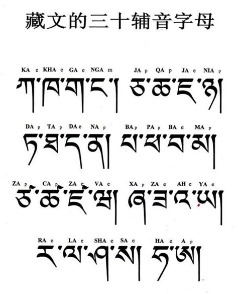 怎么翻译图片上的藏文