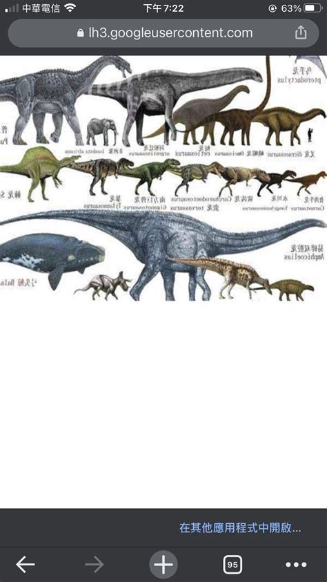 恐龙分类表