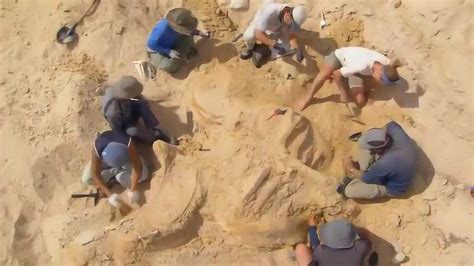 恐龙化石挖掘