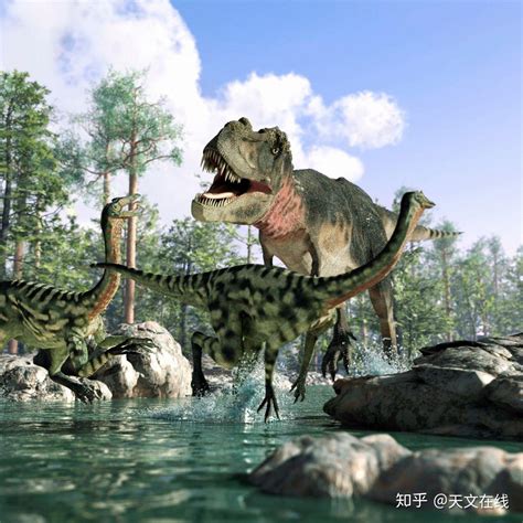 恐龙时代还活着的动物