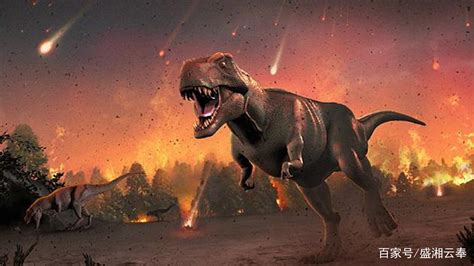 恐龙灭绝的新证据