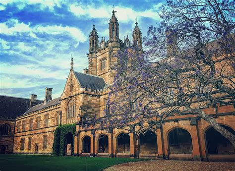 悉尼大学在澳洲国内排名多少
