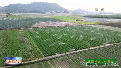 惠东县农业农村局代码