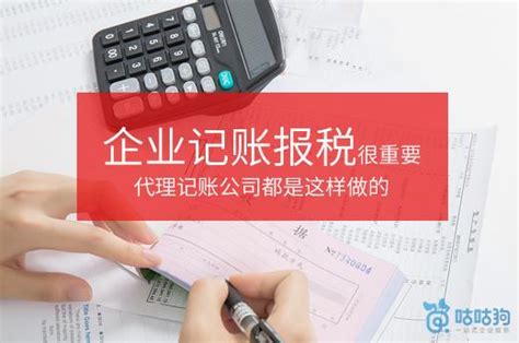 惠州企业做账报税费用