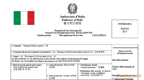 意大利国家签证申请表填写