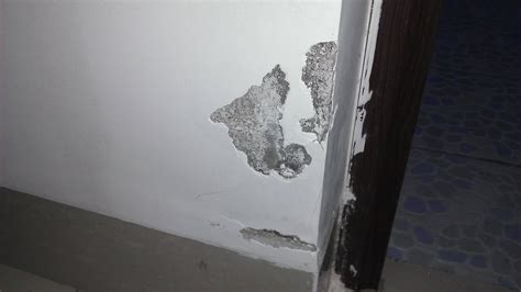 房子掉墙皮怎么补救