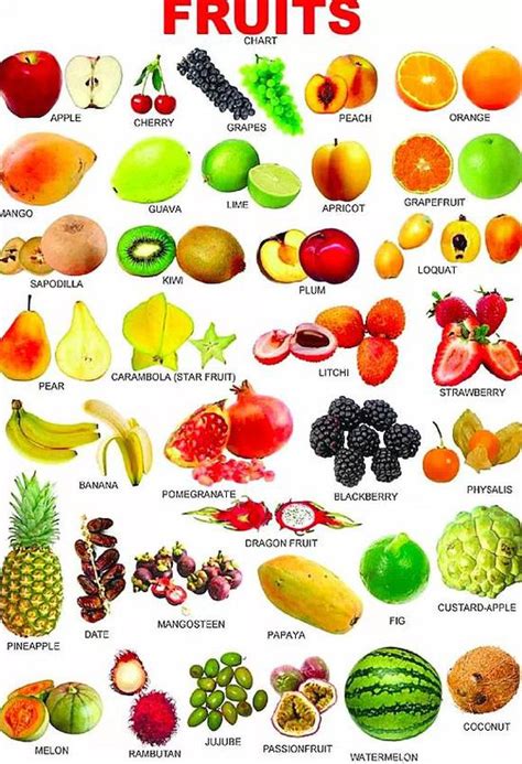 所有水果名字