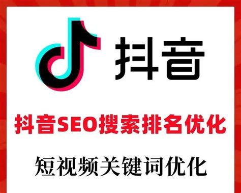 抖音seo软件工具公司排名