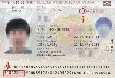 护照照片在网上怎么找