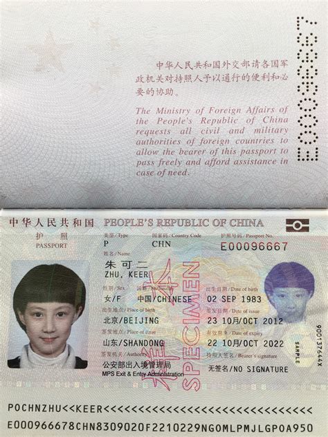 护照背面的通关证件信息