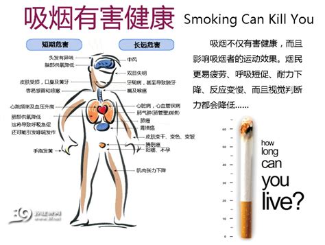 抽烟为什么对血脂有影响