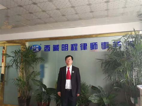 广州律师工资流水图片