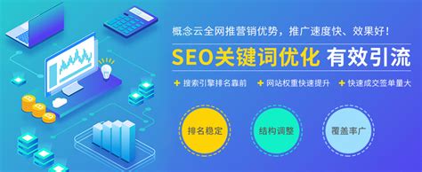整站优化seo平台排名
