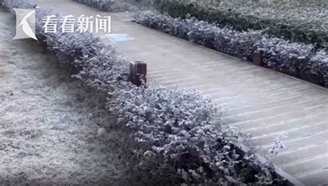 断崖式降温来了上海将现今冬初雪
