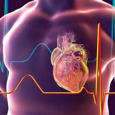 新冠病毒对心脏有影响吗