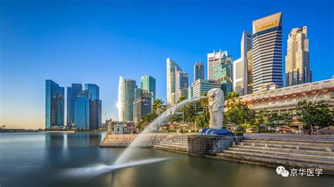新加坡医学留学条件及费用