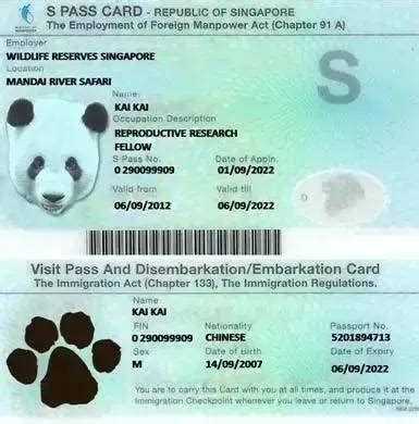 新加坡工作签证一般多久拿卡