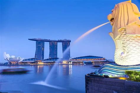 新加坡留学顾问费用多少