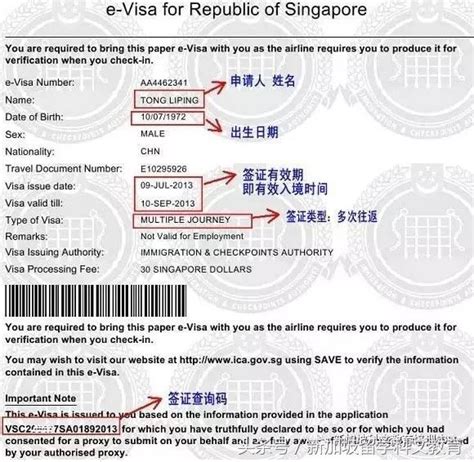 新加坡签证大人过了孩子没过