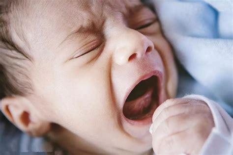 新生儿五种哭声语音