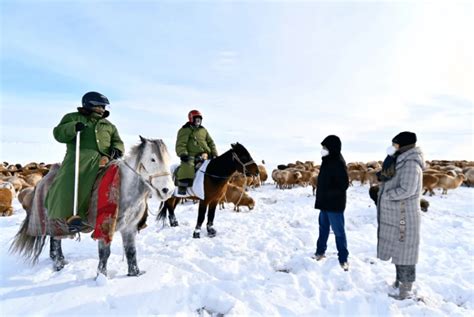 新疆遭遇雪崩有牧民失联牛羊冻死